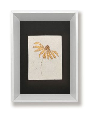As cadeau bloem goud Echinacea