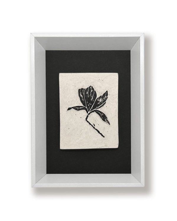As geschenk aandenken magnolia zwart