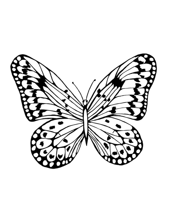 Troost geschenk cadeau vlinder tekening